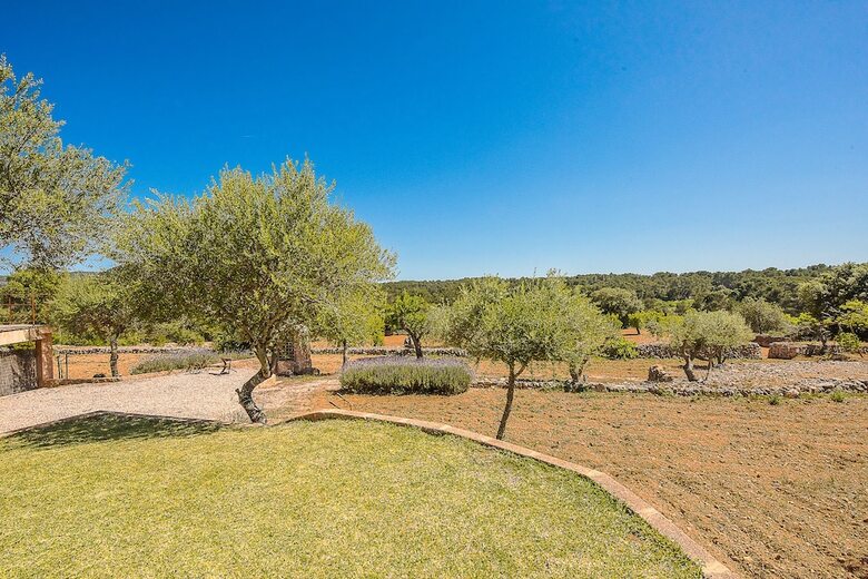Villa Son Fornes