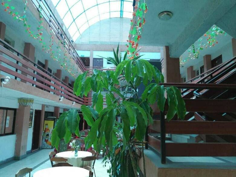 Hotel Golden Moon Star
