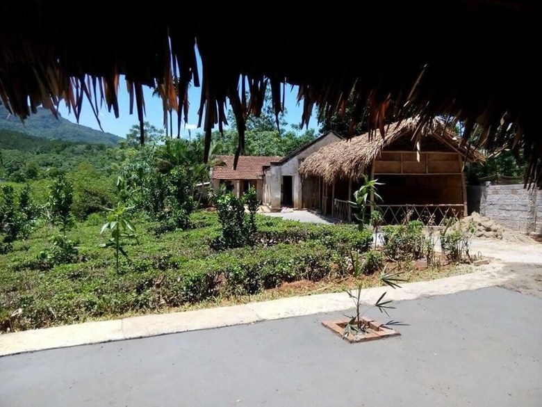 Hostal Family Homestay Ba VI - Hostel