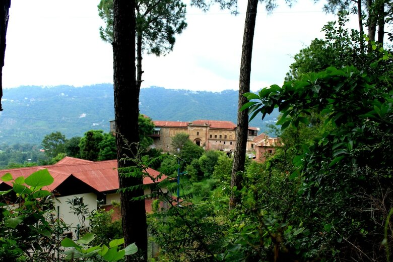 Hotel Alcor Spa Resort Kasauli