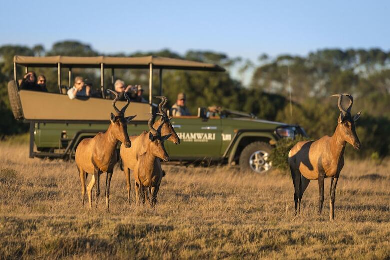 Posada Shamwari Eagles Crag - All Inclusive