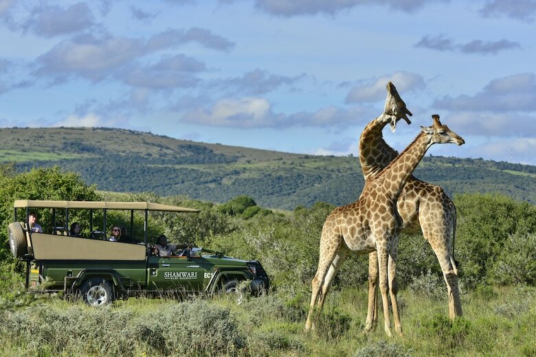 Posada Shamwari Eagles Crag - All Inclusive