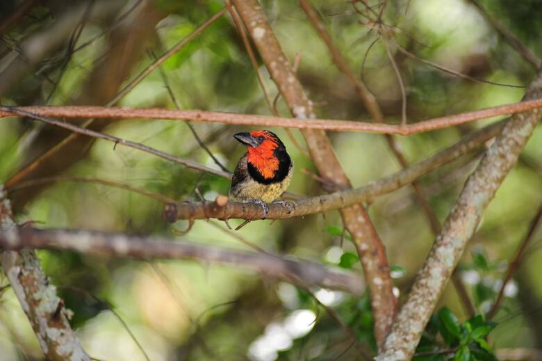 Posada Shamwari Eagles Crag - All Inclusive