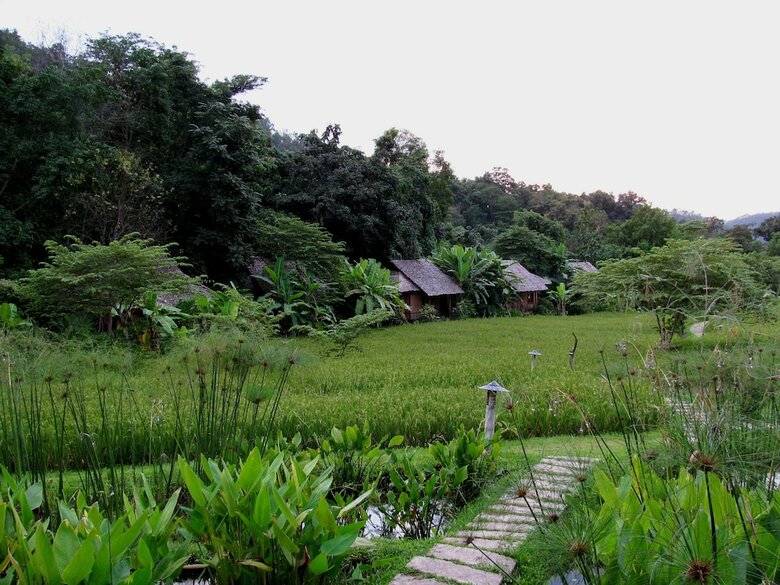 Hotel Fern Resort