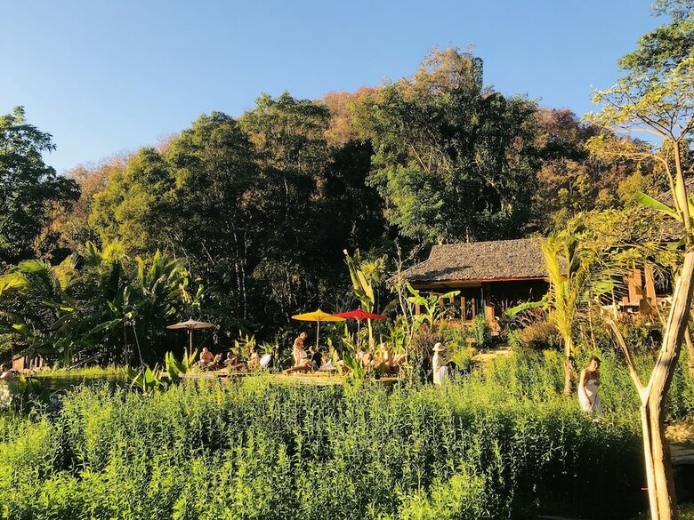 Hotel Fern Resort