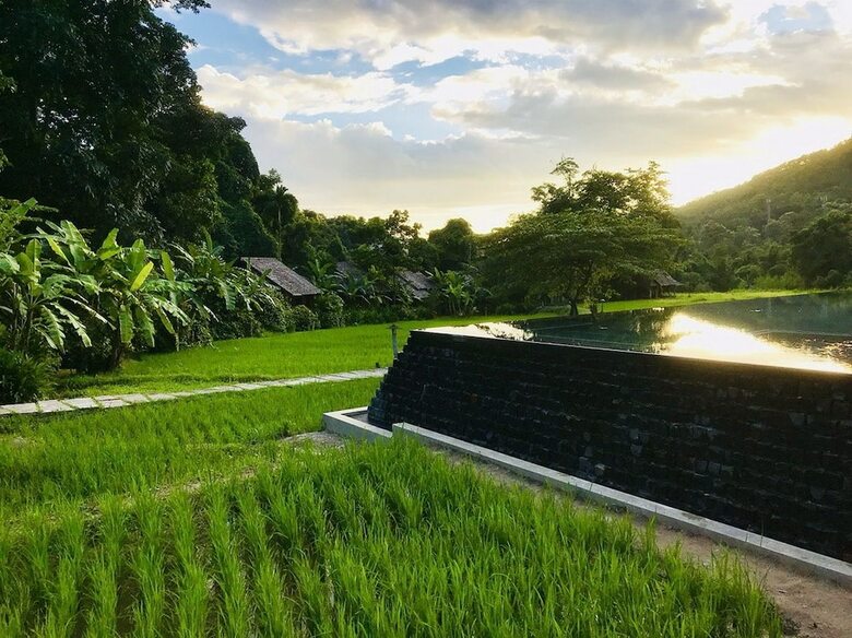 Hotel Fern Resort