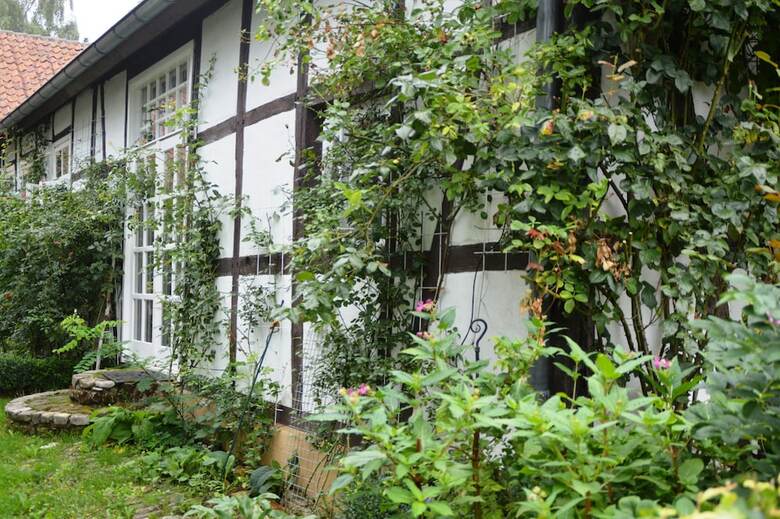 Hotel Rosindell.cottage