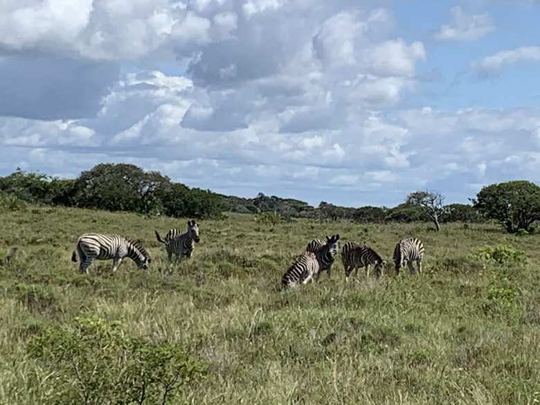 Apartamentos Flamingo Lodge
