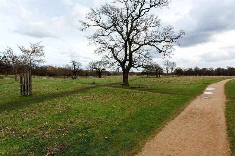 Richmond Park Comfort