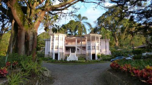 Alto De La Palma Hotel Boutique