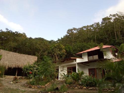Hostal Jaguar Azul Palomino