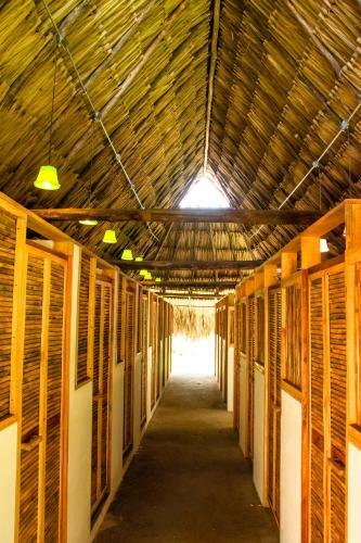Tiki Hut Hostel