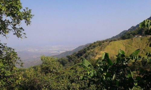 La Candelaria Coffee Farm B&B