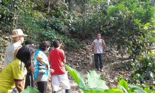 La Candelaria Coffee Farm B&B