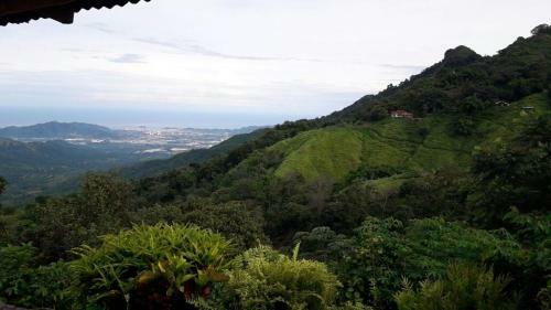 La Candelaria Coffee Farm B&B