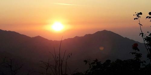 La Candelaria Coffee Farm B&B