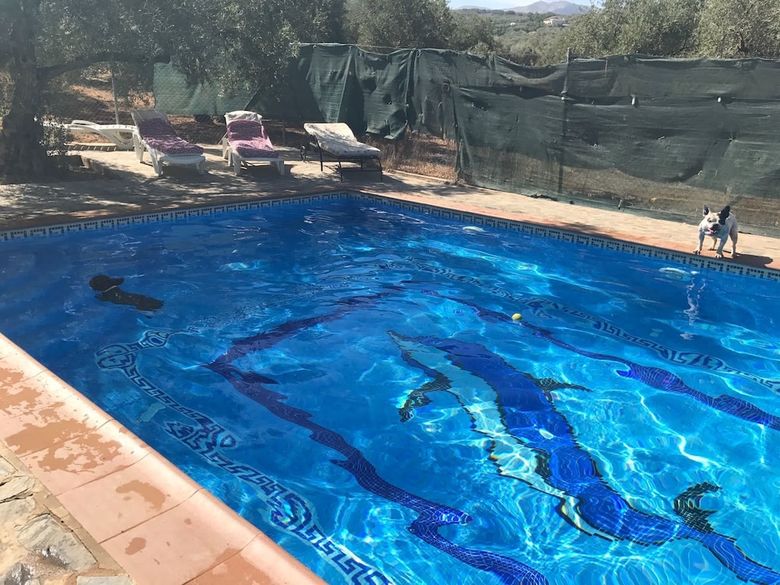 La Casita de Lola