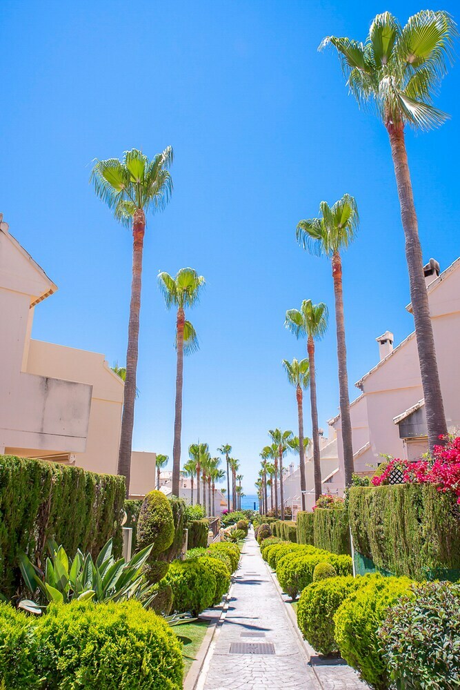 Apartamentos Oleholidays Adosado Alicate Playa 50 M. Playa