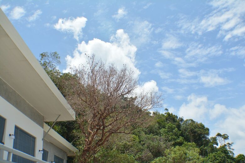 Hotel Pearl Resort