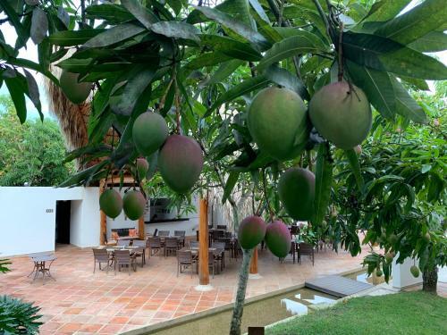 La Masia Hotel Boutique