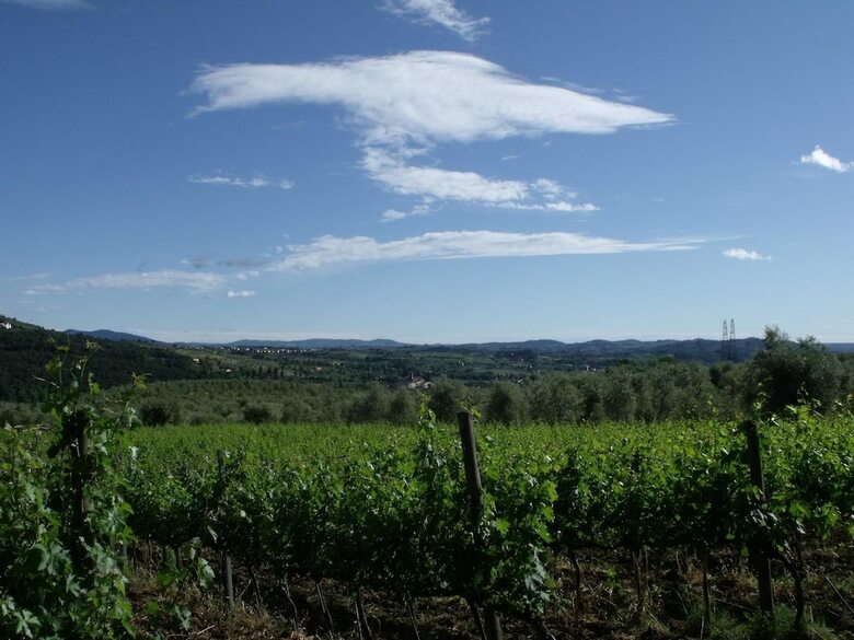 Agroturismo Il Viaio