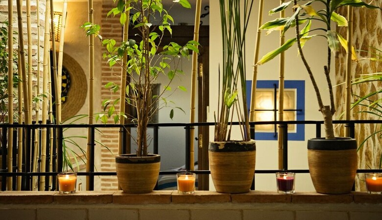 Agroturismo Camu�as Rural