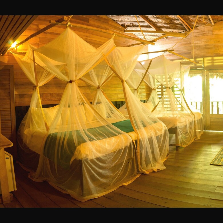 Hotel On Vacation Amazon All Inclusive