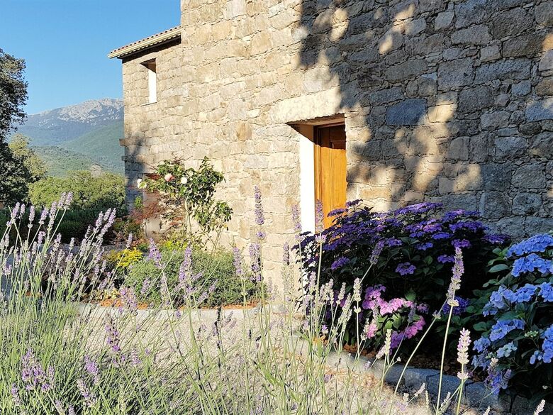 Bed & Breakfast Maison D?h�tes Zella