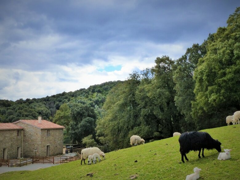Bed & Breakfast Maison D?h�tes Zella