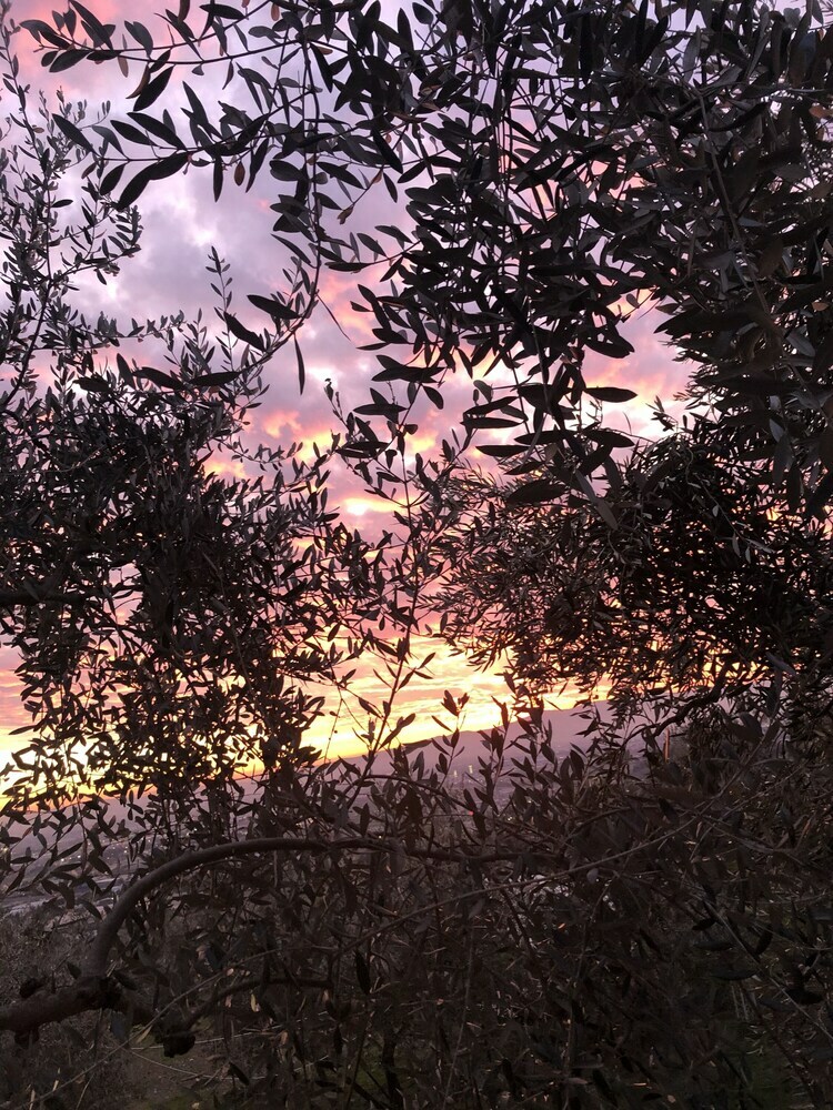 Agroturismo Agriturismo Poggio Alla Pieve
