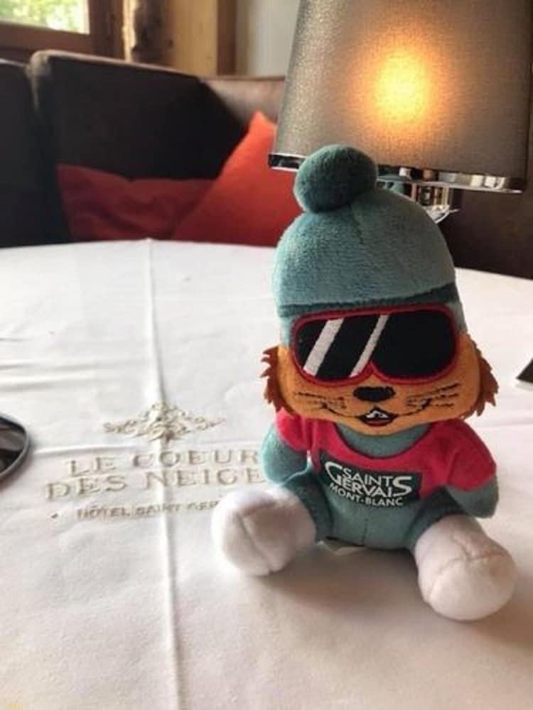 Hotel H�tel Le Coeur Des Neiges