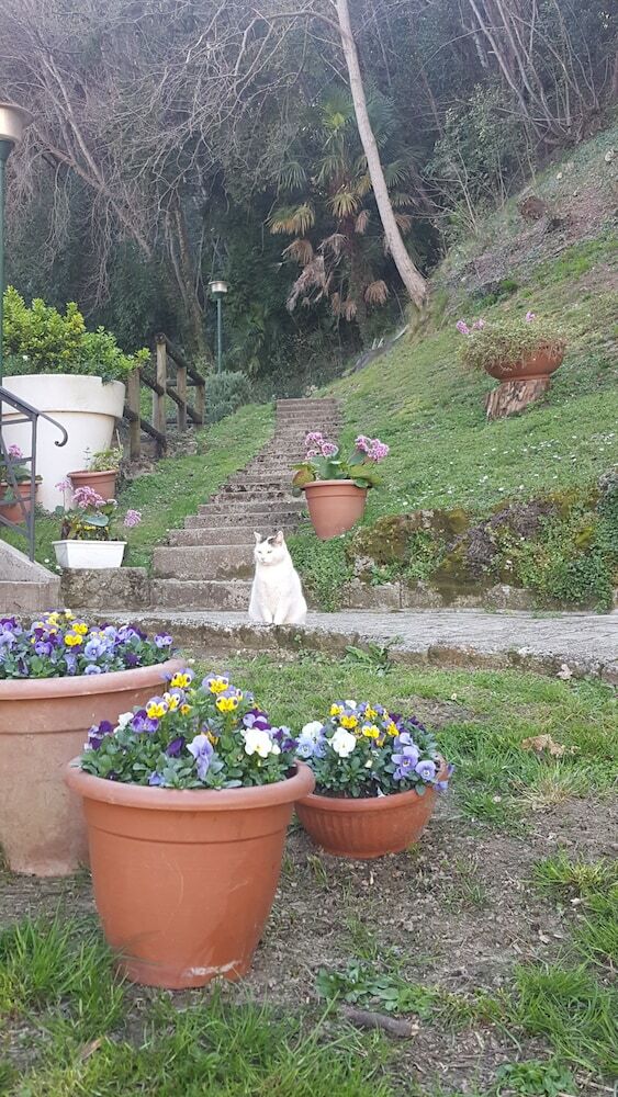 Hotel Appartamenti Alle Fonti