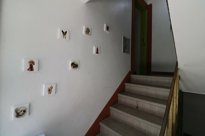 Hostal Four Seasons House - Hostel, Women Only