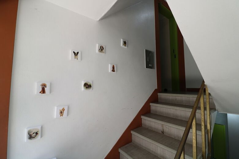 Hostal Four Seasons House - Hostel, Women Only