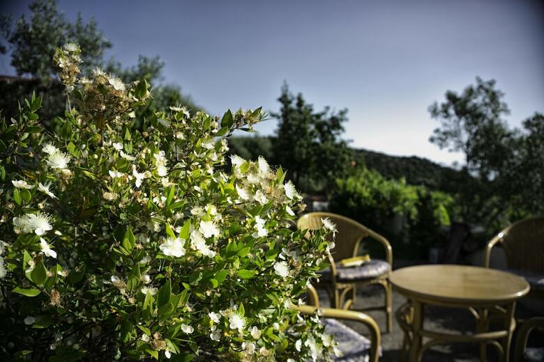 Villa Il Melograno Country House