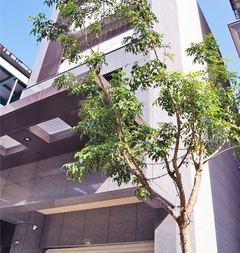 Hotel Forest Deer Black Tea Homestay