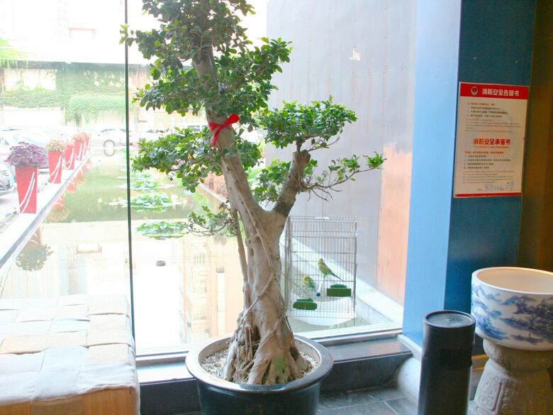 China Community Art Habitat Hotel