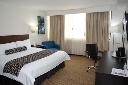 Hotel Executivo Culiacan