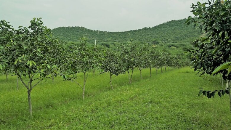 Apartamento Chitrakoot Garden And Resorts Pushkar