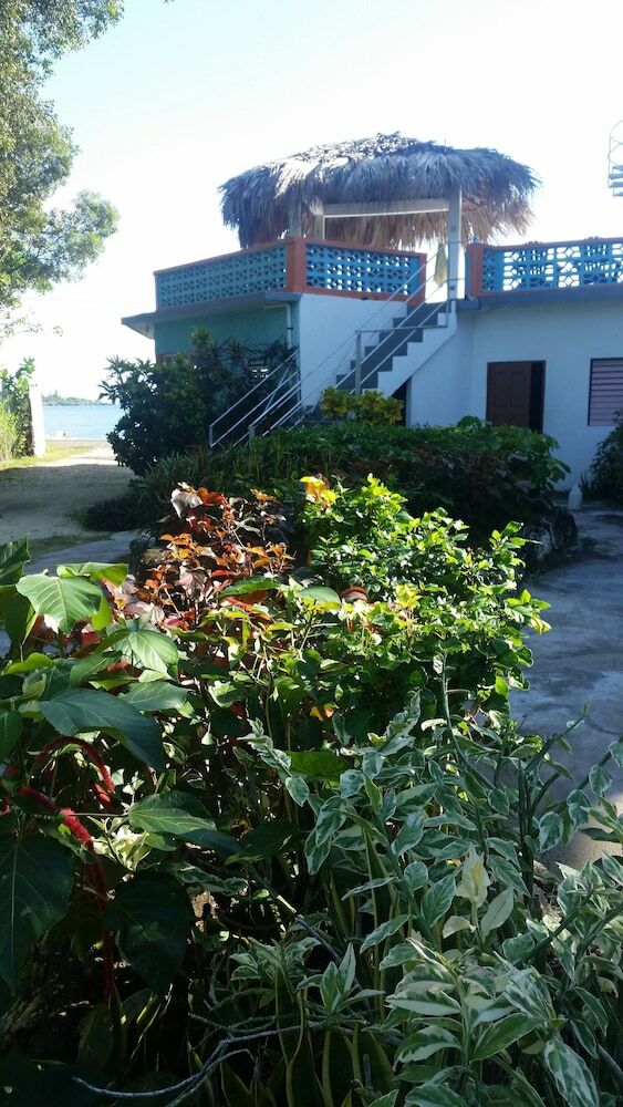 Bed & Breakfast Richie's On The Beach