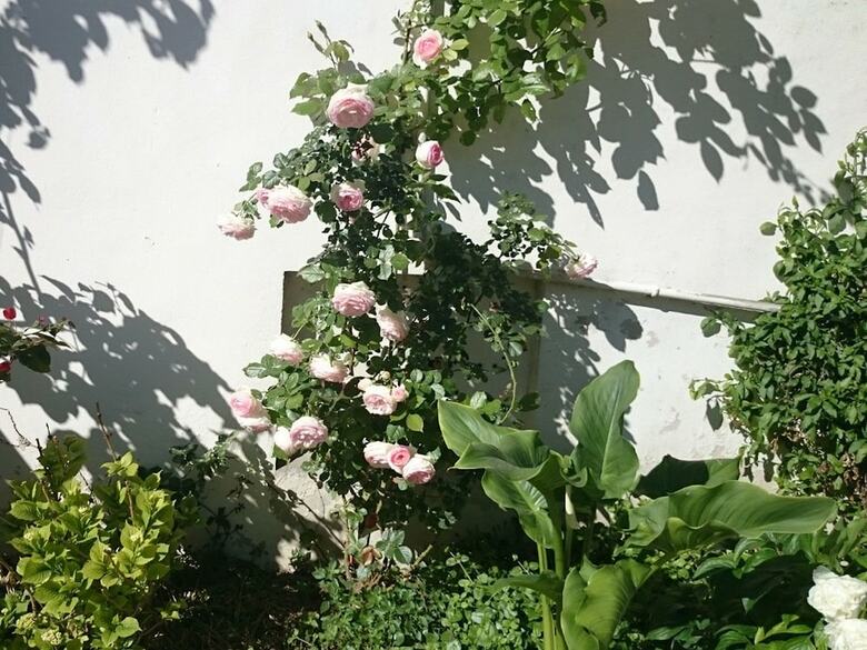 Bed & Breakfast Le Clos Chez Michel