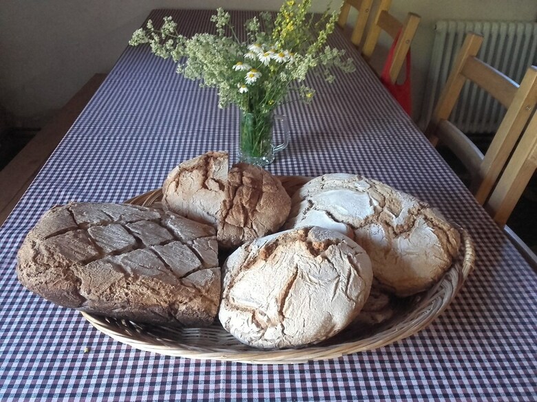 Hostal Alberg Rural El Negre
