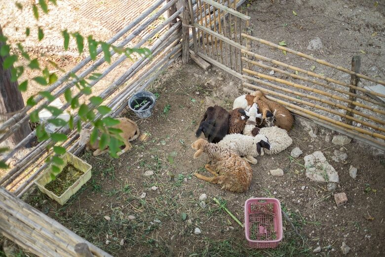 Hotel Rai Ruen Rom Organic Farm