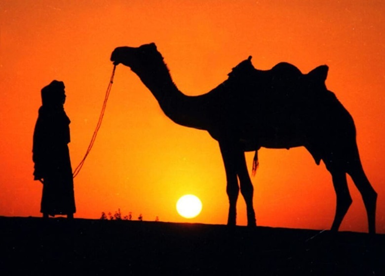 Hotel Bhawana Camp And Resorts