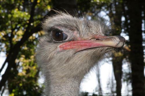Hotel Fazenda Po�os De Caldas