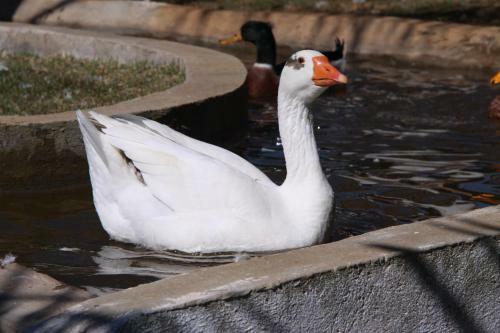 Hotel Fazenda Po�os De Caldas