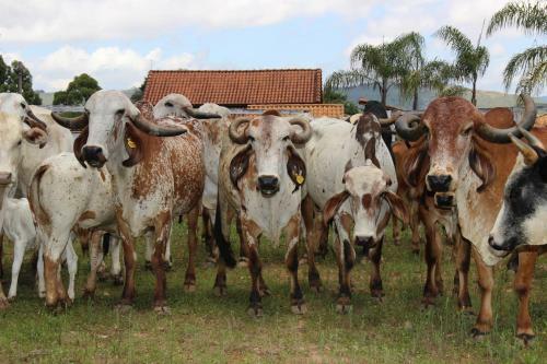 Hotel Fazenda Po�os De Caldas