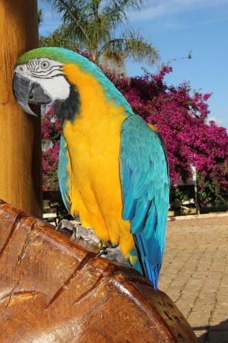 Hotel Fazenda Po�os De Caldas