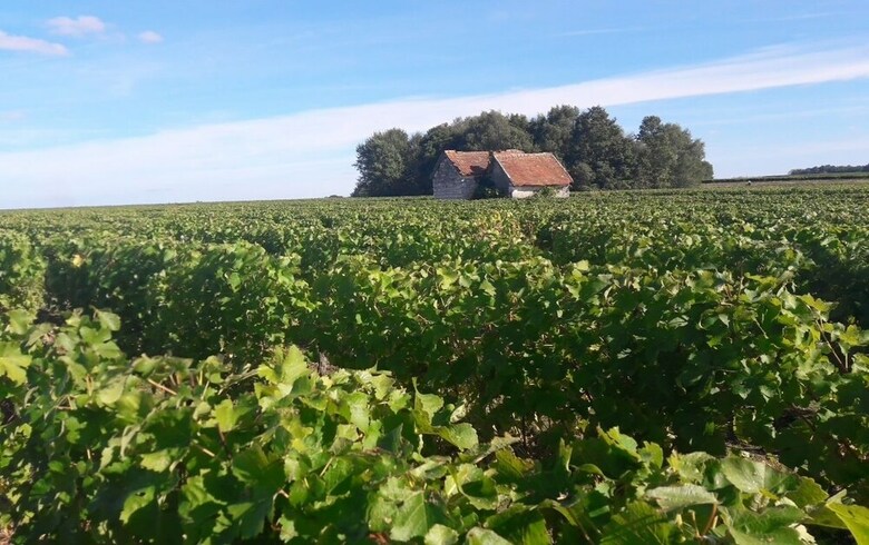 Hotel G�te La Ferme de Couffy