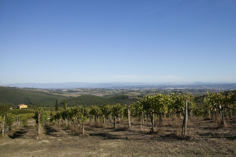 B&B La Torre - Fattoria Di Larniano